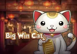 Big Win Cat