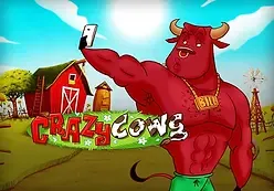 Crazy Cows