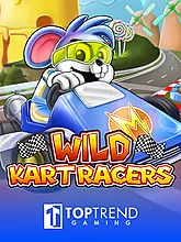 Wild Kart Racers